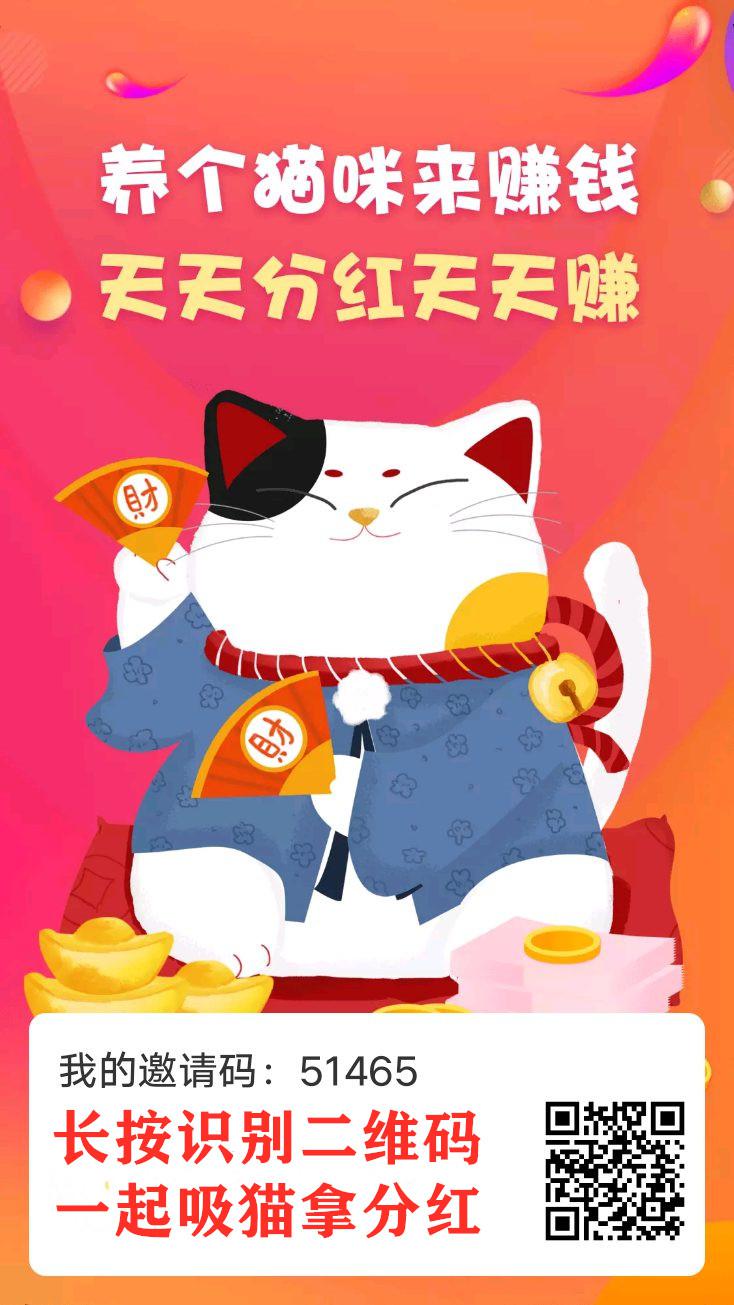 恋猫世界APP应用截图