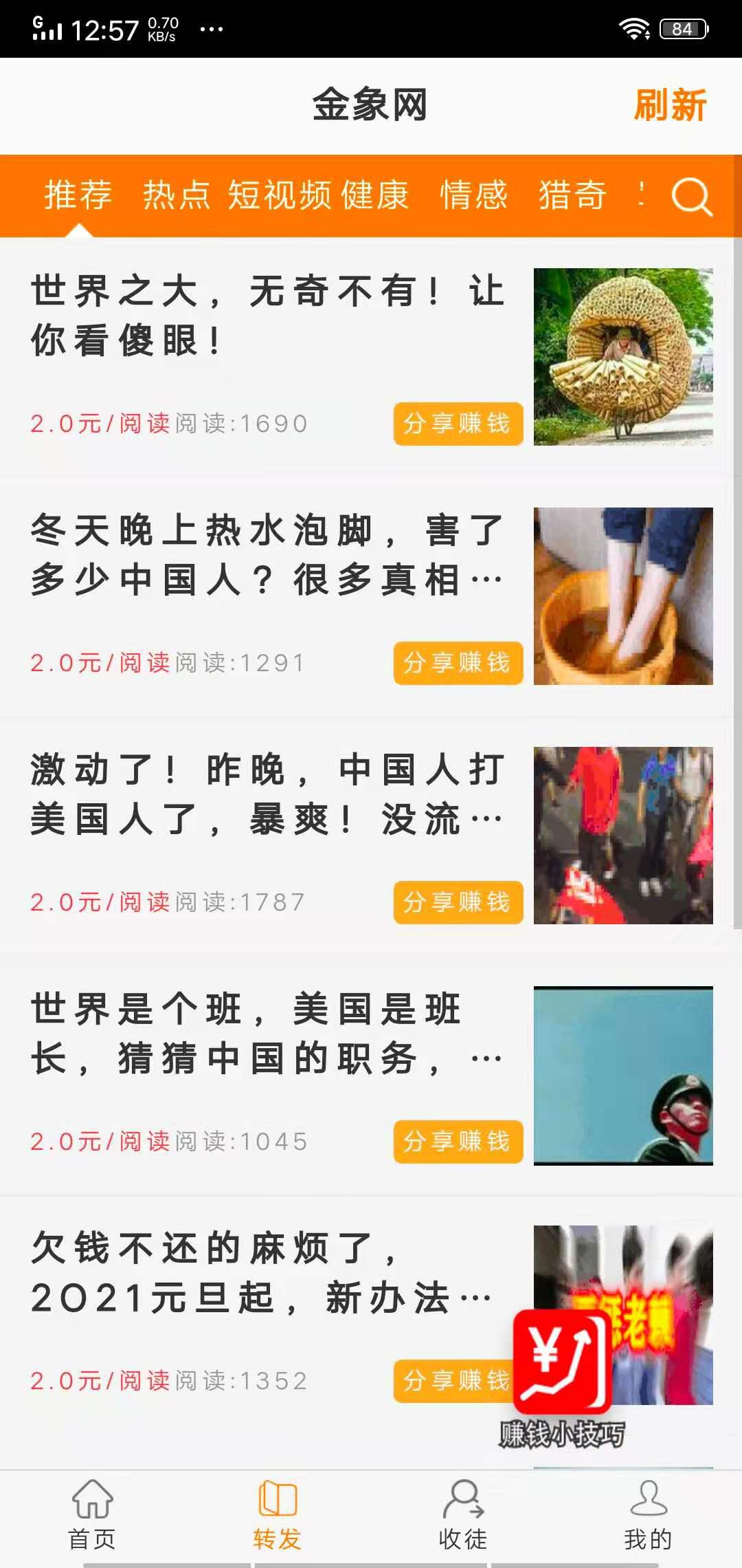 金鸥网APP应用截图